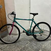 RAMPICHINO  MTB