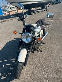 Moto Triumph T100