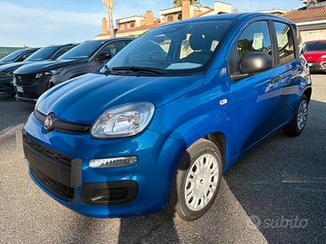 Fiat Panda 1.0 FireFly S&S Hybrid Icon