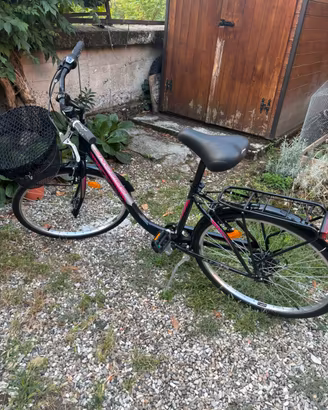 Bicicletta donna 26 pollici