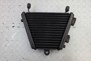 RADIATORE OLIO SUZUKI GSXR 1000 2009 2010 GSX-R 20