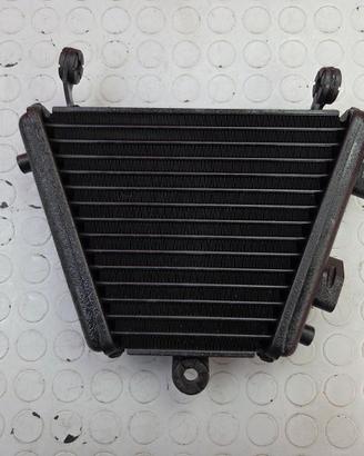 RADIATORE OLIO SUZUKI GSXR 1000 2009 2010 GSX-R 20