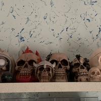 Teschi da collezione