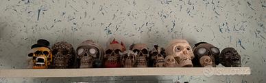 Teschi da collezione