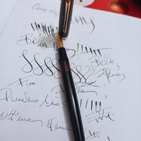 Penna stilografica Omas 556/S