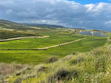 Terreno Agricolo 15Ha Seminativo Irriguo Sferro