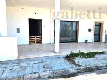 Negozio Copertino [COA 309ACG]