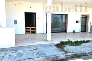 Negozio Copertino [COA 309ACG]