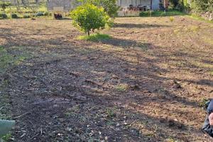Vendita Terreno agricolo