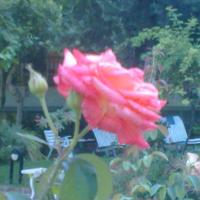 Aiutante a casa tua per materie scientifiche!!!