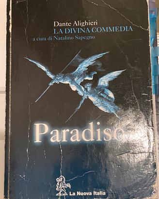 Il Paradiso di Dante ISBN 978-88-221-5302-9