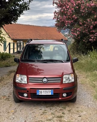 Fiat Panda 1.2 Dynamic OK NEOPATENTATI