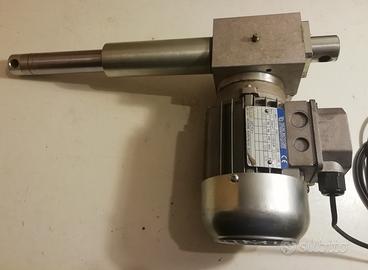 Martinetto motorizzato