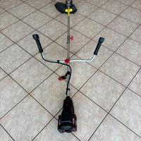 Taglia erba a filo a batteria