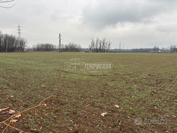 TERRENO AGRICOLO BORSANO