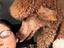 Immagine 13
