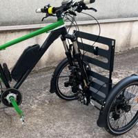 Accessorio bici da Carico  (CARGO BIKE)