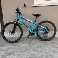 Mountbike Bicicletta 24”