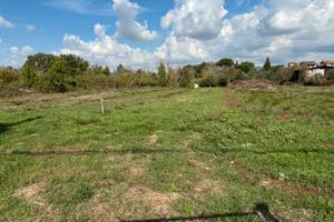 Terreno AGRICOLO 5.000 mq
