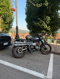 TRIUMPH SCRAMBLER 900