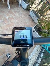 Biciclette elettriche