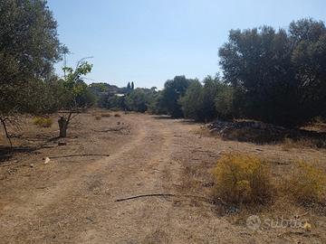 Terreno agricolo