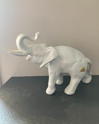 Elefante in porcellana