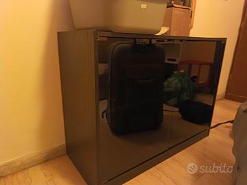 mobile porta tv