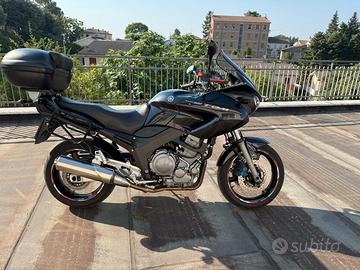 Yamaha TDM 900 perfetta