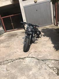 Harley sportster 1.2