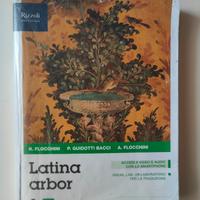 Latino arbor 1