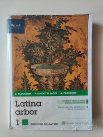 Latino arbor 1