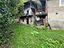 Immagine 16