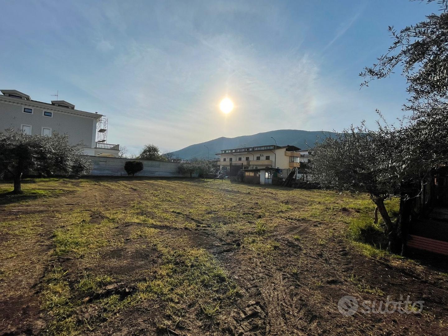 Terreno edificabile - Falciano del Massico (CE) - Vista 3