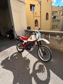 Honda XL600 R 1986 iscritta FMI