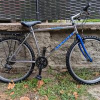 Bicicletta Mountain bike