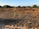 terreno-agricolo-loc-s-arriaxiu-1700mq