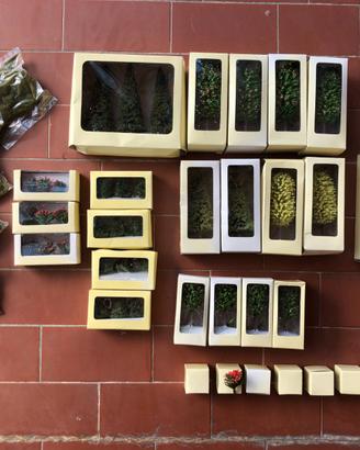 trenini HACHETTE FS  erba alberi e vegetazione  HO