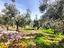Immagine 20