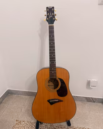 Chitarra acustica