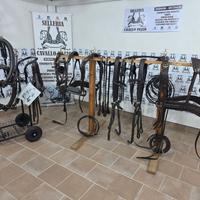 FINIMENTO PARIGLIA TESTA DI MORO / OTTONE