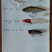 Artificiali pesca spinning 