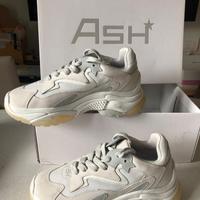 scarpe ASH N.36