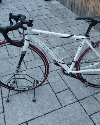 bici da corsa scout