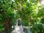 Immagine 28