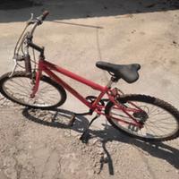 bicicletta per  ragazzo