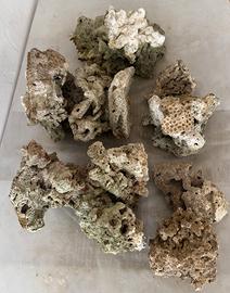 Acquario marino attrezzatura