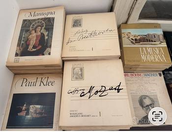 Collezione vinili musica classica e varia