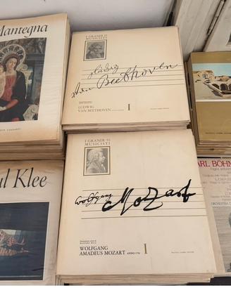 Collezione vinili musica classica e varia