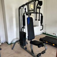 Palestra completa
